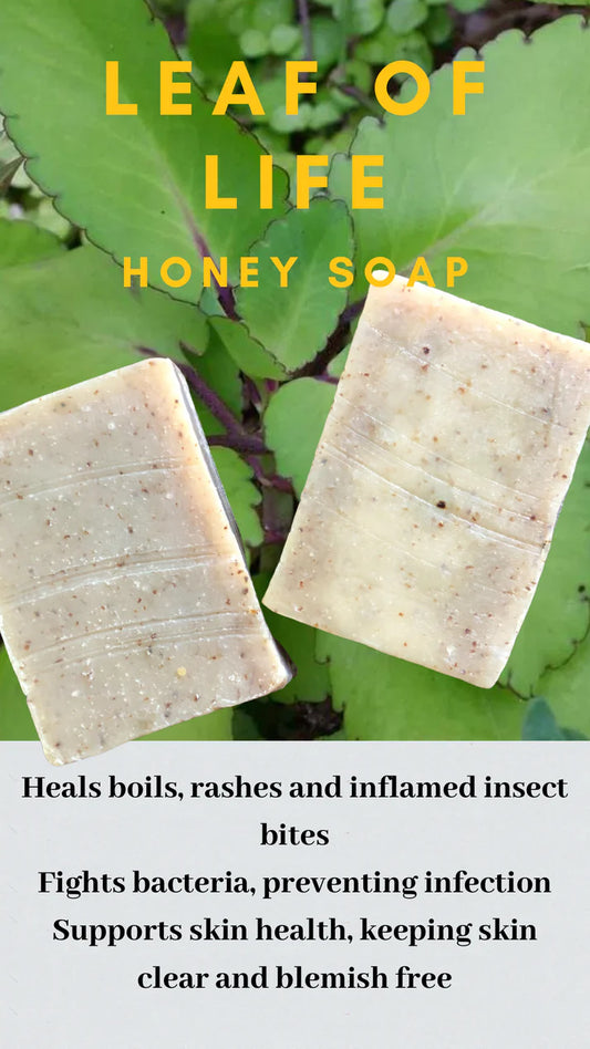 HONEY LEAF OF LIFE SOAP