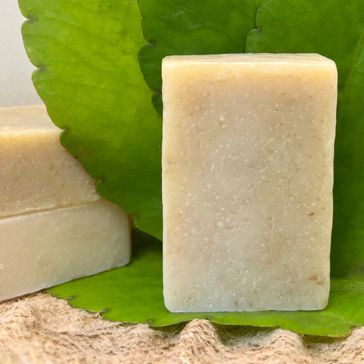 JABÓN DE HOJA DE VIDA DE MIEL