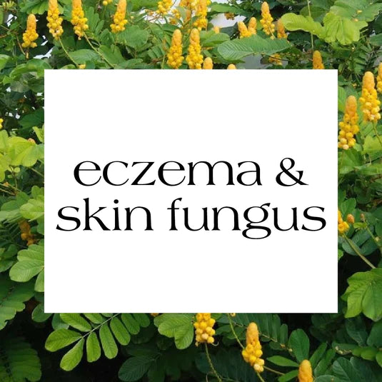ECZEMA / SKIN FUNGUS COLLECTION